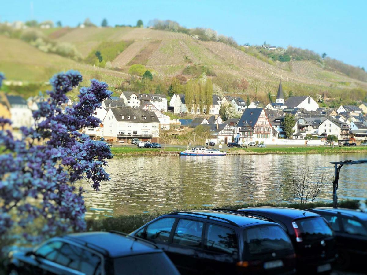 Mosel Ausblick Apartment เซลล์อันแดร์โมเซล ภายนอก รูปภาพ