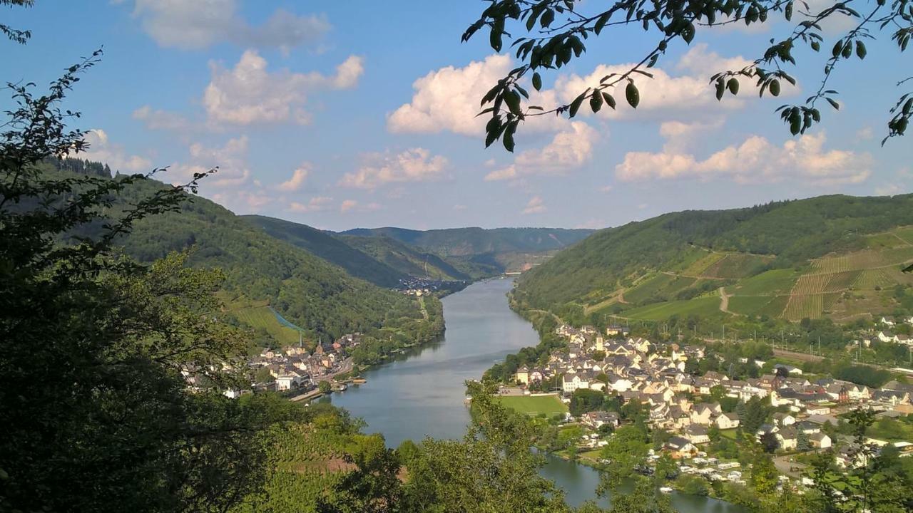 Mosel Ausblick Apartment เซลล์อันแดร์โมเซล ภายนอก รูปภาพ